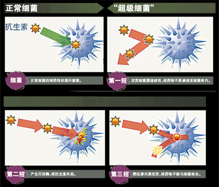 “超级细菌”:耐药性的终极产物 “超级细菌”:耐药性的终极产物