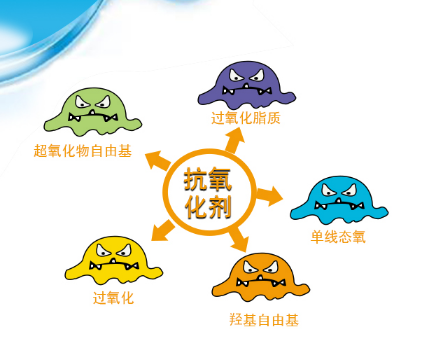 抗氧化剂的“科学陷阱”:自由基与健康的平衡术 抗氧化剂的“科学陷阱”:自由基与健康的平衡术