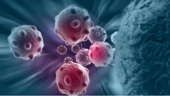 技术迭代:价格下探的底层逻辑 技术迭代:价格下探的底层逻辑