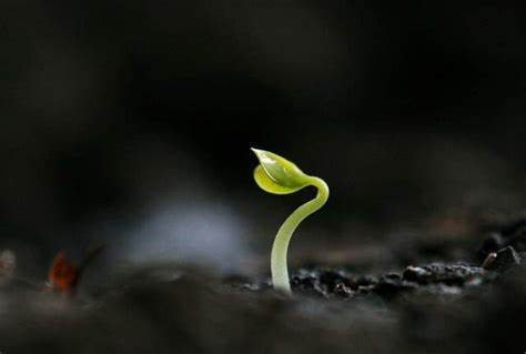 生命科学的边界与人类尊严 生命科学的边界与人类尊严