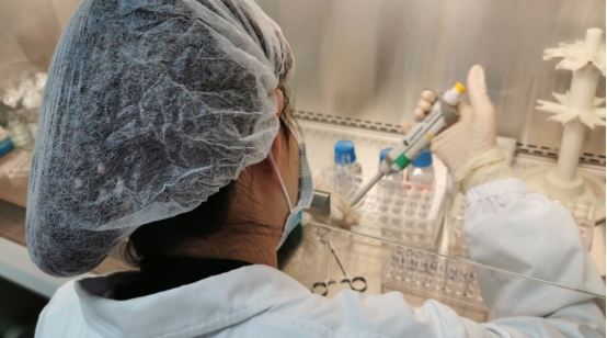 KP.3变异株的特性与传播 KP.3变异株的特性与传播