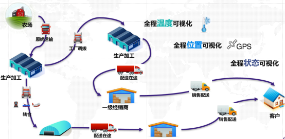 政策框架：从“筛查覆盖”到“全链条服务”