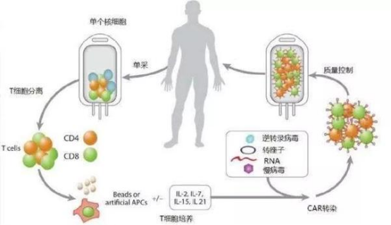 CAR-T疗法：肿瘤治疗的革命性突破