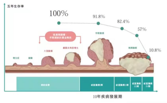 肿瘤标志物检测:癌症早筛的新路径 肿瘤标志物检测:癌症早筛的新路径