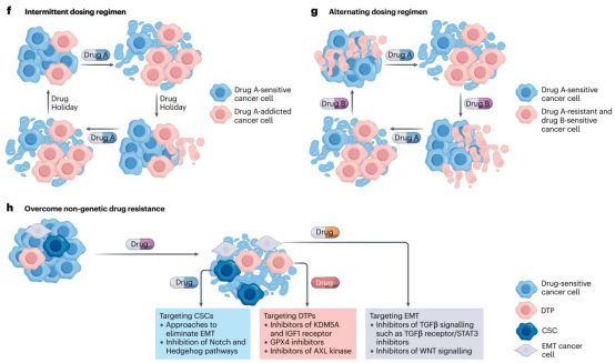 技术突破：从“单一治疗”到“系统整合”