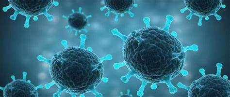 “超级真菌” “超级真菌”