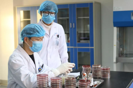 国内“超级真菌”感染现状 国内“超级真菌”感染现状