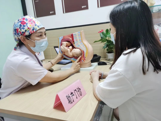 破局之路:从“救产科”到“救生育”的系统性重构 破局之路:从“救产科”到“救生育”的系统性重构