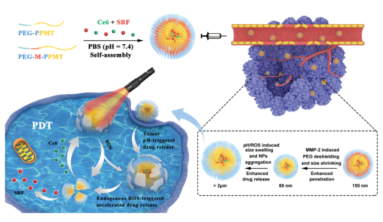 从“药物”到“数据载体”的革命性跨越 从“药物”到“数据载体”的革命性跨越