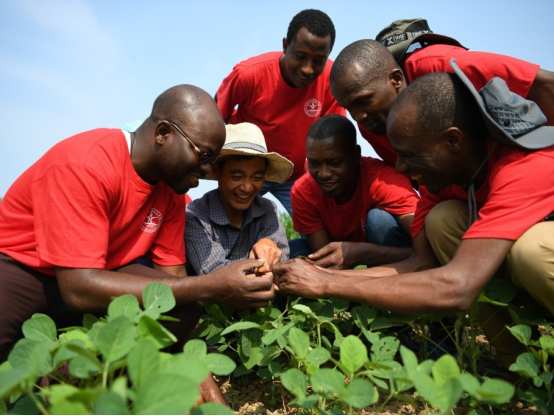 技术落地的非洲实践：希望与挑战并存