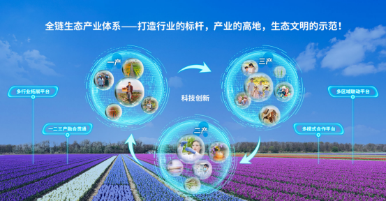 从技术突破到规模应用 从技术突破到规模应用