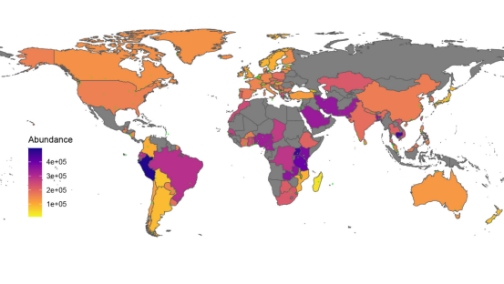 耐药性危机:从实验室到全球灾难的演变 耐药性危机:从实验室到全球灾难的演变