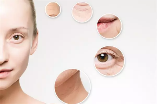 干细胞美容的“美丽泡沫” 干细胞美容的“美丽泡沫”