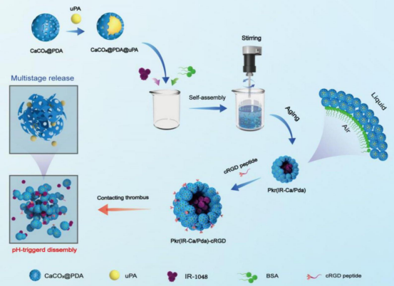 技术突破：从“药物载体”到“数据终端”的革命
