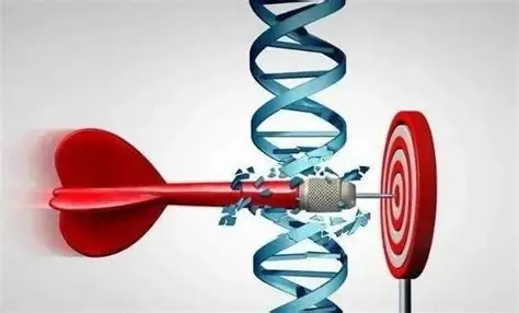 临床应用：精神疾病治疗的“精准化”突破