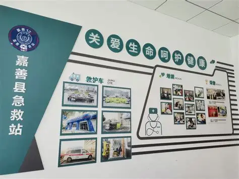 制度创新:重构急救生态链 制度创新:重构急救生态链