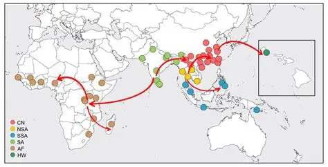 从隐匿到爆发:C.auris的全球扩散轨迹 从隐匿到爆发:C.auris的全球扩散轨迹