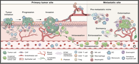 深层病灶:多重因素交织的生存困境 深层病灶:多重因素交织的生存困境