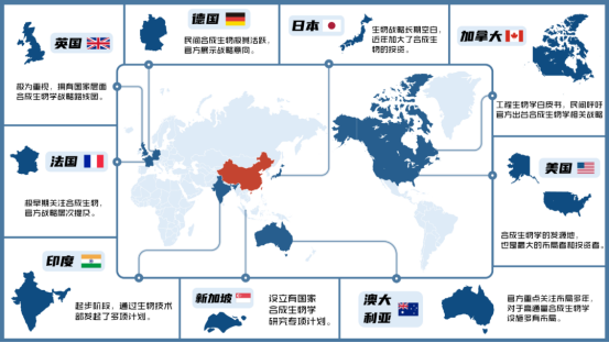 国内主导权背后的战略布局 国内主导权背后的战略布局