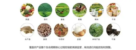 危机溯源:从田间到舌尖的污染链 危机溯源:从田间到舌尖的污染链