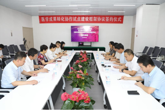 技术突破:从实验室到临床的跨越 技术突破:从实验室到临床的跨越