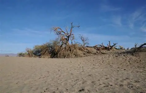 研发背景：从“死亡之谷”到希望之光