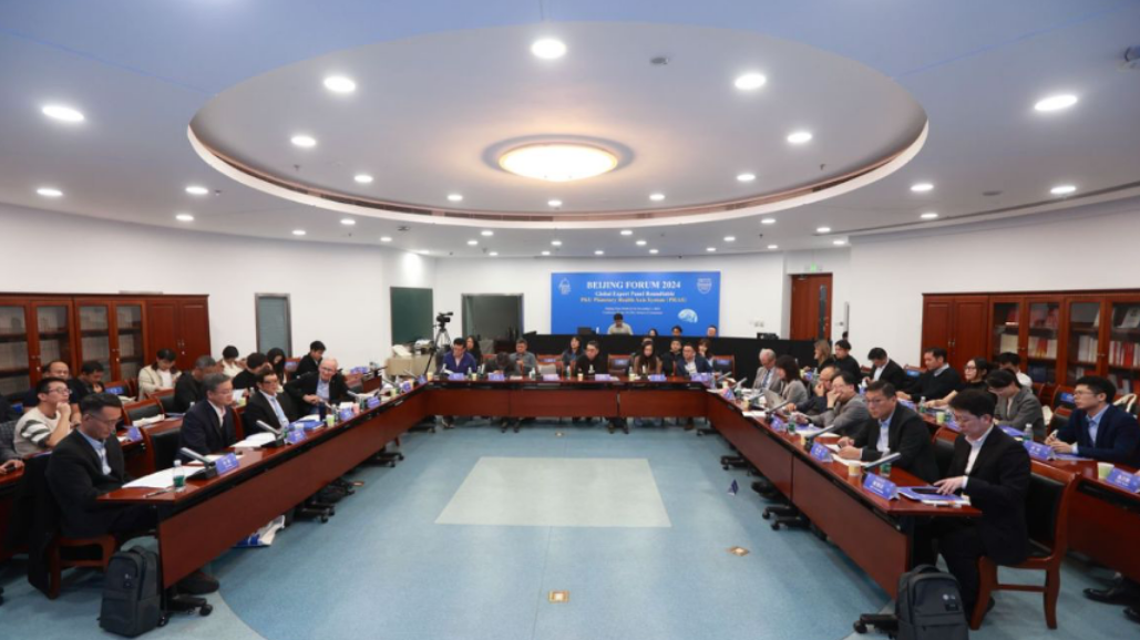 北京大学全球健康发展研究院