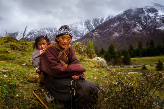 人文之光：在至暗时刻温暖生命
