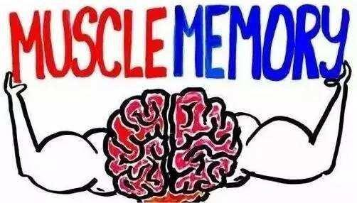 肌肉记忆的炼成：从“手忙脚乱”到“人械合一”