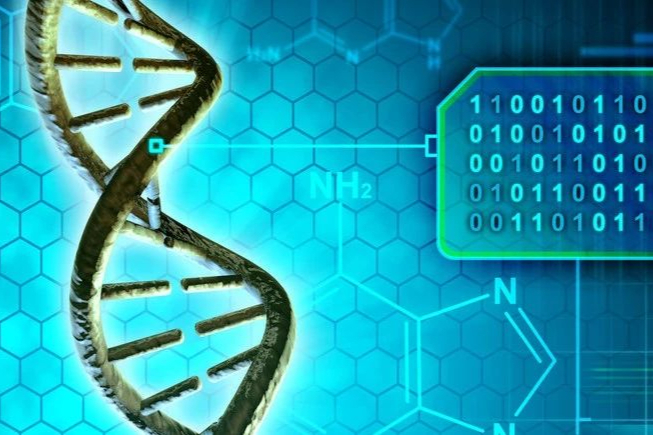 基因革新：未来医疗新篇章| PPT模板下载