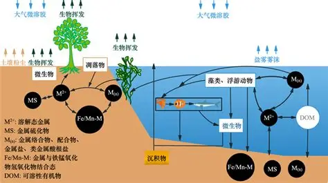 技术演进：从“金属牢笼”到“生物消失”