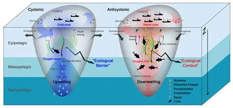 从深海到神经:技术迁移的必然与偶然 从深海到神经:技术迁移的必然与偶然