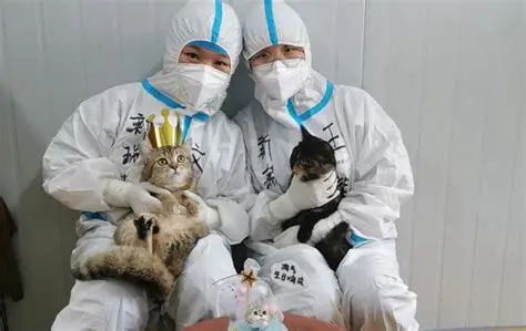 从“隔离治疗”到“情感疗愈”：宠物病房的破局逻辑