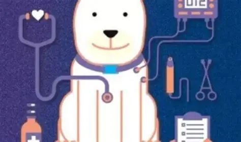 未来图景：构建“全周期宠物医疗生态” 