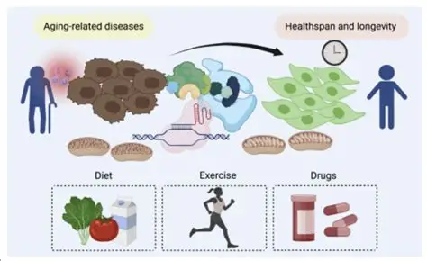 从晚期治疗到早期干预的范式变革 从晚期治疗到早期干预的范式变革