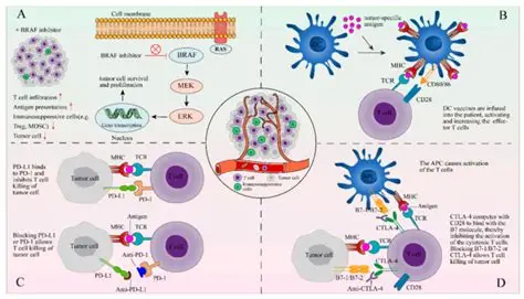 TILs疗法的三十年突围 TILs疗法的三十年突围