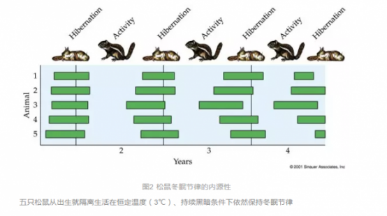 当自然节律遭遇社会时钟 当自然节律遭遇社会时钟