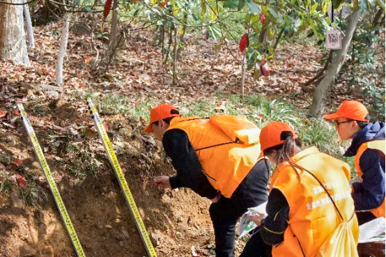 院边店的转型实践：从“地理优势”到“能力壁垒”