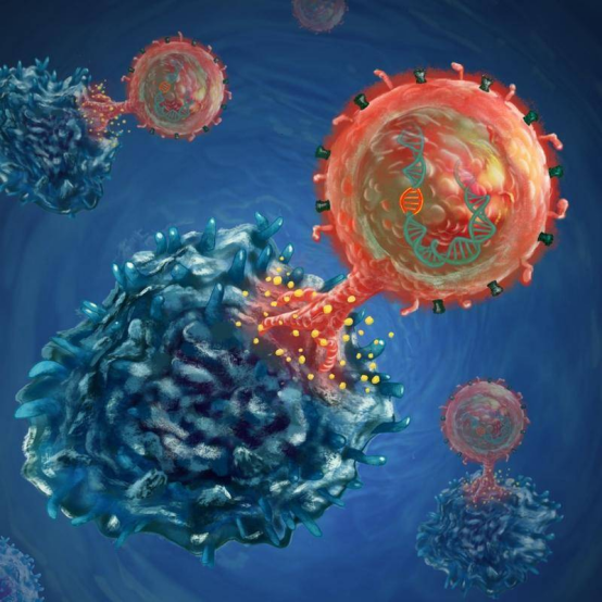 从“单癌种”到“多癌种”的范式革新