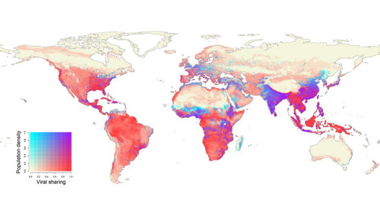 从热带到温带的生态突围
