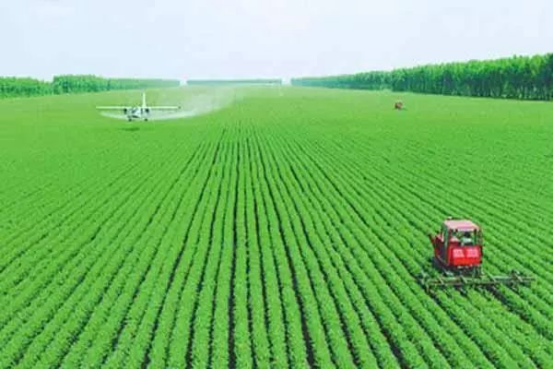 破局之路：政策、技术与生态的三重突围 