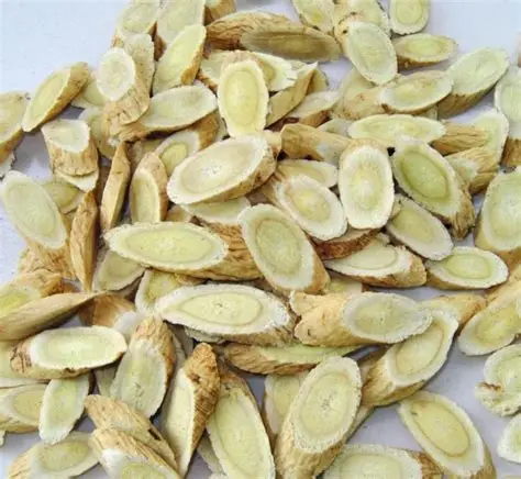 中药材价格“过山车”现象及原因 中药材价格“过山车”现象及原因